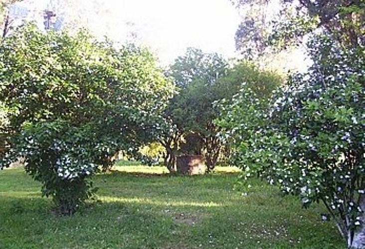 Bagé Pousada Chacara Das Roseiras מראה חיצוני תמונה